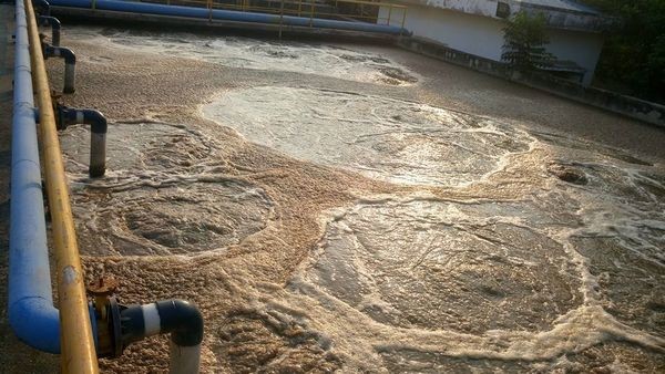 Công nghệ xử lý bùn thải tạo khí sinh học phát điện (MTR033)